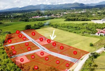 ขายที่ดิน 93.2ตรว. 450,000บาท รวมโอน สาธารณูปโภคและถมที่ บ้านดอยยาว ต.แช่ช้าง อ.สันกำแพง เชียงใหม่
