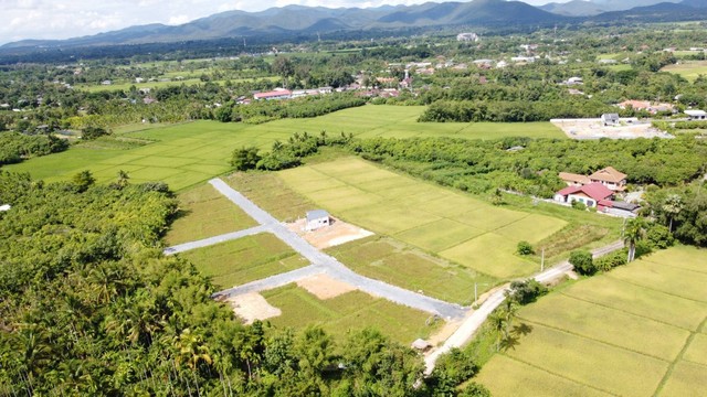 ขายที่ดิน 93.2ตรว.450,000บ. หลังสวนทวีชล สาธารณูปโภคครบ บ้านบวกเปา ต.หนองแหย่ง อ.สันทราย เชียงใหม่