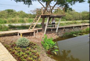 ขาย ที่ดินเปล่า คลองห้า 2ไร่ ต.คลองห้า อ.คลองหลวง ปทุมธานี