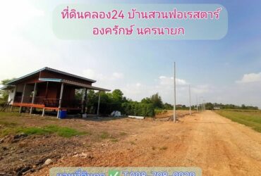 ที่ดินคลอง24  องครักษ์ นครนายก  บ้านสวนฟอเรสตาร์ เงินผ่อน เงินสด