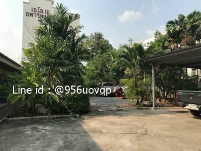 sss190 ขาย ที่ดิน ซอยลาดพร้าว101 ทำเลดี ใกล้สถานที่ไฟฟ้า ลาดพร้าว101