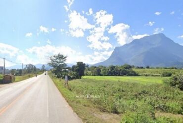 ขายที่ดิน อ.เชียงดาว จ.เชียงใหม่ ติดถนนสายหลัก วิวดอยหลวงเชียงดาว