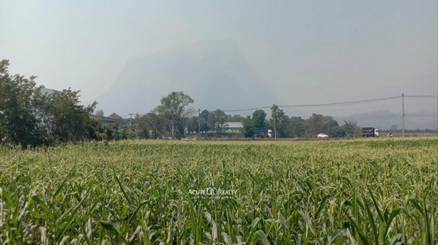 ขายที่ดิน อ.เชียงดาว จ.เชียงใหม่ ติดถนนสายหลัก วิวดอยหลวงเชียงดาว