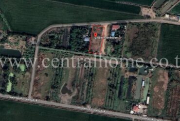 ที่ดิน หนองจอก คลองสิบสอง 360 ตารางวา เหมาะกับสร้างบ้าน