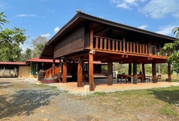 ขายบ้านสวนท่ามกลางทุ่งนา วิวธรรมชาติ อ.ดอยสะเก็ด จ.เชียงใหม่ ที่ดิน 1-2-11 ไร่