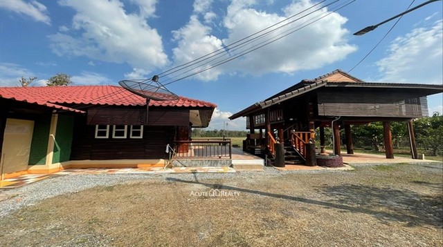 ขายบ้านสวนท่ามกลางทุ่งนา วิวธรรมชาติ อ.ดอยสะเก็ด จ.เชียงใหม่ ที่ดิน 1-2-11 ไร่