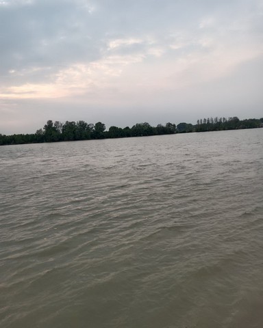 ขายที่ดินติดแม่น้ำบางปะกง  อ.บ้านโพธิ์ จ.ฉะเชิงเทรา