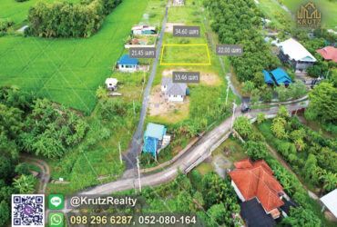 ขายที่ดินในหมู่บ้าน180 ตร.ว. ทีดินสวย ทำเลดี  ติดถนนราคาถูก   ต.หน๋องแก๋ว อ.หางดง จ.เชียงใหม่