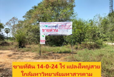 ขายที่ดินเปล่า 14-0-24 ไร่ ต.ขามเรียง อ.กันทรวิชัย จ.มหาสารคาม
