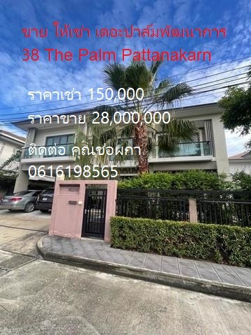 PO1463ขาย เดอะปาล์มพัฒนาการ 38 The Palm Pattanakarn 28,000,000