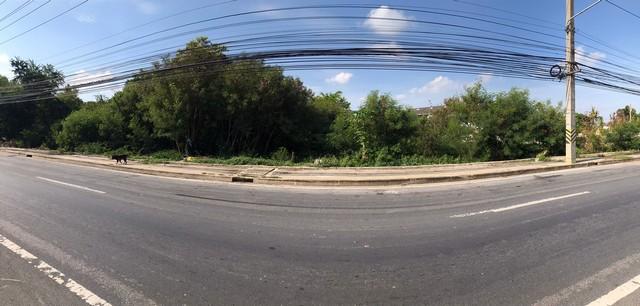 ให้เช่าที่ดินเนื้อที่ 7 ไร่ ติดถนนบรมราชชนนี หน้ากว้างติดถนน 74 เมตร ใกล้โฮมโปร ใกล้เซ็นทรัลศาลายา