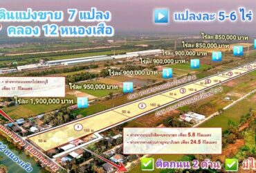 ขายที่ดิน คลอง 12 หนองเสือ 5 ไร่ ติดถนน 2 ด้าน  เหมาะปลูกบ้านสวน ทำเกษตรพอเพียงอยู่ใกล้แหล่งชุมชน