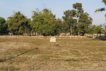 ขายด่วนที่ดินสวย 255 ตร.ว. เยื้อง ปตท.โคกศรีสุพรรณ ถ.สกล-นาแก อ.โคกศรีสุพรรณ จ.สกลนคร  ZE361
