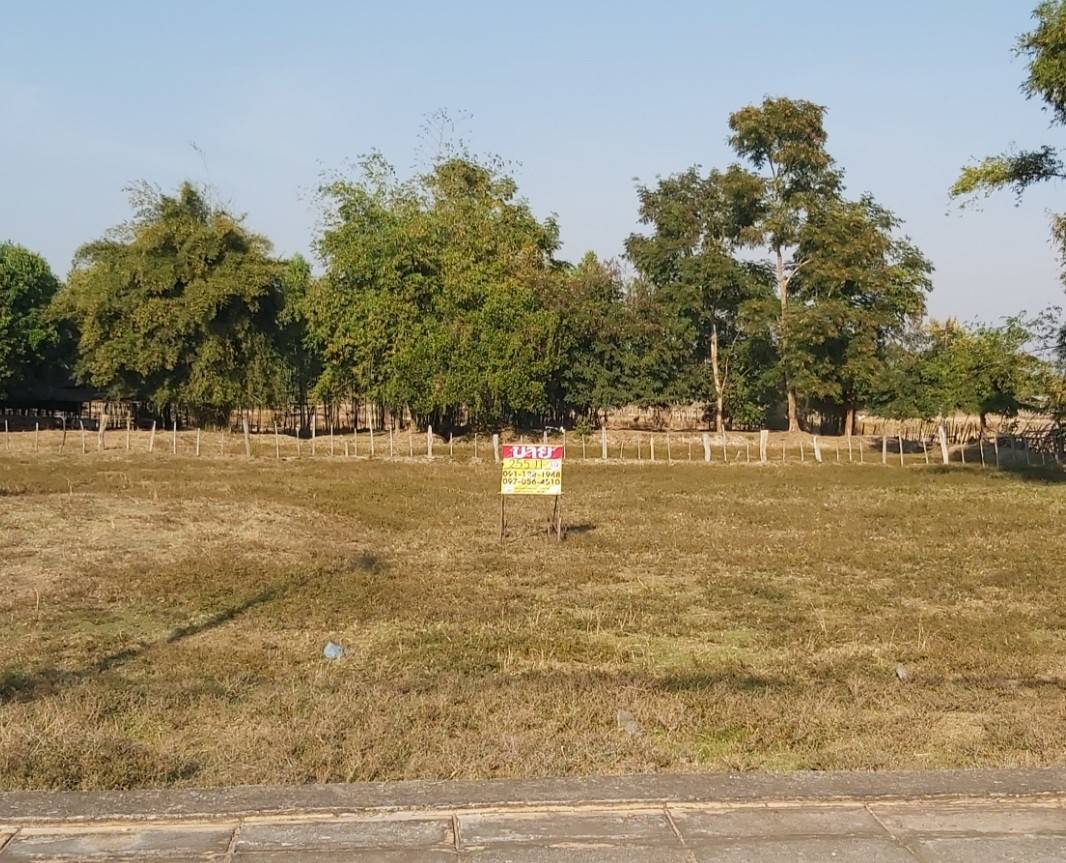 ขายด่วนที่ดินสวย 255 ตร.ว. เยื้อง ปตท.โคกศรีสุพรรณ ถ.สกล-นาแก อ.โคกศรีสุพรรณ จ.สกลนคร  ZE361