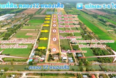 ขายที่ดิน คลอง 12 หนองเสือ 5 ไร่ ติดถนน 2 ด้าน  เหมาะปลูกบ้านสวน ทำเกษตรพอเพียง ทำโกดัง