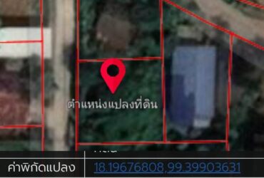 ขายที่ดินพื้นที่80.6ตารางวา ตรงกันข้ามโรงเรียนอนุบาลเกาะคาซอย2   ZN162