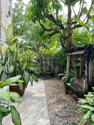 ขายบ้านเดี่ยว 2 ชั้นครึ่ง 85 ตรว. วิภาวดี58 บ้านสร้างเอง สไตล์วินเทจ โครงสร้างแข็งแรง ใกล้ดอนเมือง