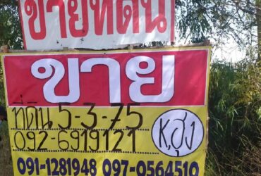 ขายที่ดินสวย  5-3-75 ไร่   ติดถนนใจกลางเมืองมหาสารคาม  ข้างโครงการหมู่บ้าน เดอะทาดิโอ ใกล้มมส.ZE380