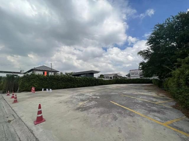 ขายที่ดินถมแล้ว 217 ตรว. ซอยแบริ่ง 31 ทับ 1 เหมาะสร้างบ้าน สำนักงาน เดินทางสะดวก