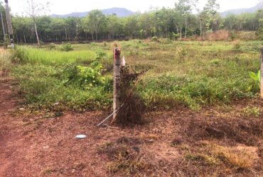 ขายที่ดินติดถนนหลวงหลัก น้ำประปา ไฟฟ้า พร้อม จ.ระยอง (เจ้าของขายเอง)