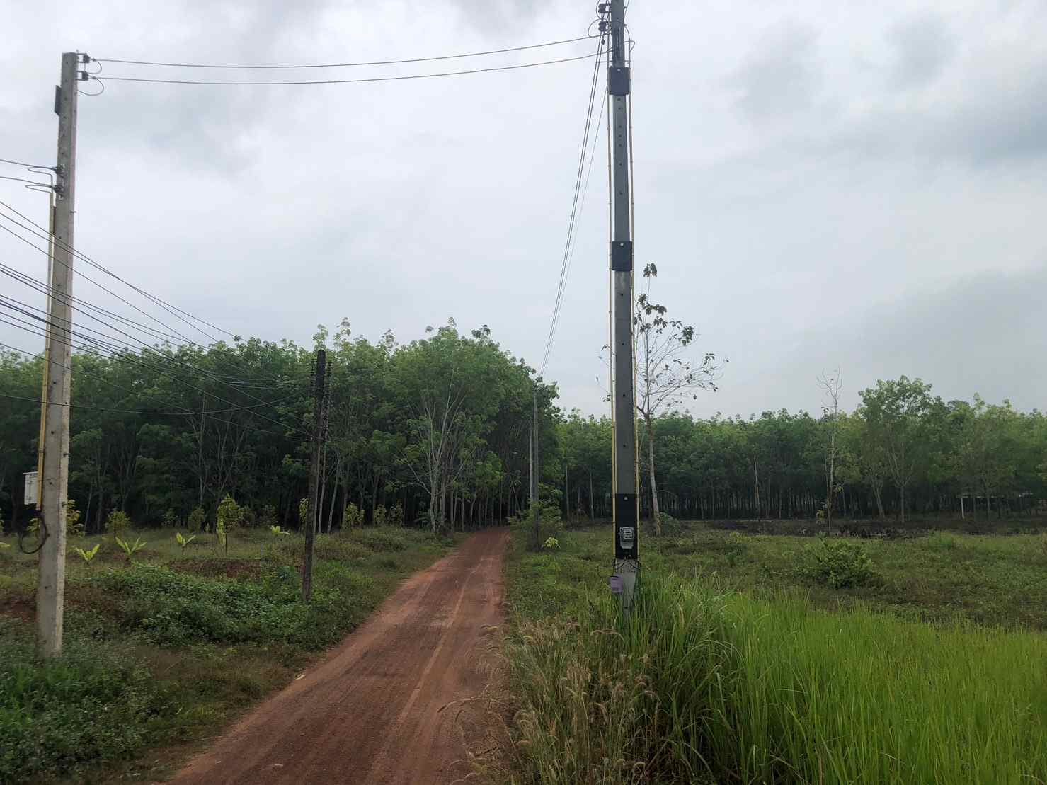 ขายที่ดินติดถนนหลวงหลัก น้ำประปา ไฟฟ้า พร้อม จ.ระยอง (เจ้าของขายเอง)