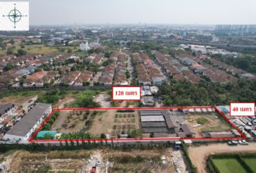 ขายที่ดินถมแล้ว 2 แปลง ติดกัน รวม 3 ไร่  เหมาะสำหรับพัฒนาโครงการ ที่อยู่อาศัย