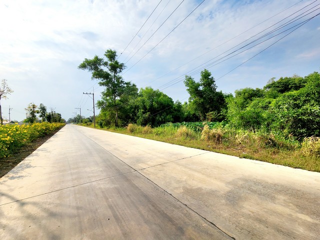 ขายที่ดินติดถนนลาดยางเรียบ คลอง 12 หนองเสือ 10 ไร่ ติดถนน 2 ด้าน ทำเลเหมาะค้าขาย เหมาะทำโกดัง หรือปลูกบ้าน หรือซื้อเก็งกำไรได้