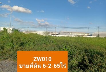 ขายที่ดิน6- 2- 65ไร่ ถนนถาวรตะเคียนนุช ต.บ้านเกาะ อ.เมือง จ.สมุทรสาคร    ZW010