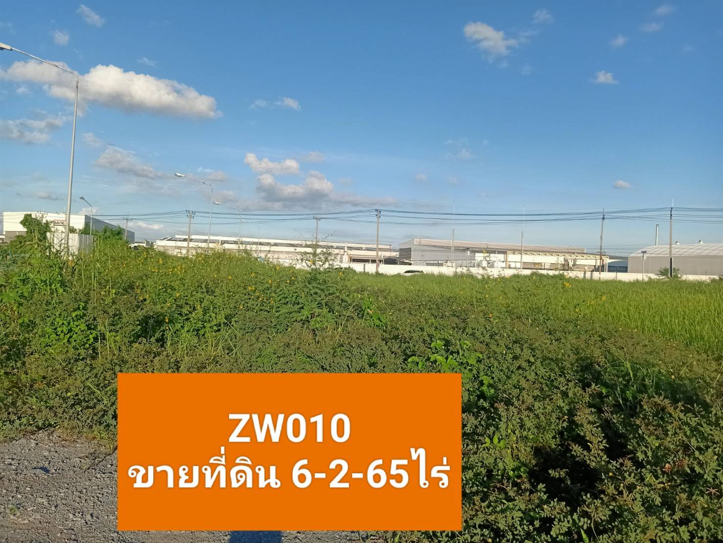 ขายที่ดิน6- 2- 65ไร่ ถนนถาวรตะเคียนนุช ต.บ้านเกาะ อ.เมือง จ.สมุทรสาคร    ZW010