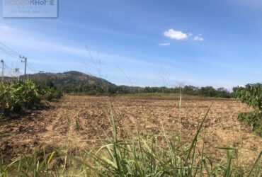 ขายที่ดิน 3 แปลง 91-2-63 ไร่ ตำบลนาเฉลียง อำเภอหนองไผ่ เพชรบูรณ์