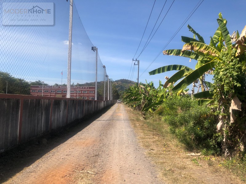 ขายที่ดิน 3 แปลง 91-2-63 ไร่ ตำบลนาเฉลียง อำเภอหนองไผ่ เพชรบูรณ์