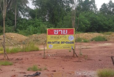 ขายด่วน ที่ดินถมแล้ว 8-3-74 ไร่ ถนนพระราม2 ด้านหลังวัดบุญชูภาวนาราม  สมุทรสงคราม  ZW021