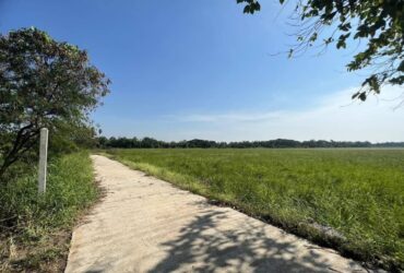 ขายที่ดินเปล่าถมแล้ว ทำเลดี ติดแม่น้ำป่าสัก มีถนนเข้าได้ 2 ทาง อยุธยา