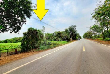 ขายที่ดินติดถนนเรียบคลอง 11 หนองเสือ 49ไร่  เหมาะทำจัดสรรที่ดินแบ่งขายได้ ทำโครงการบ้านสวน ทำการเกษตร ทำฟาร์มหรือ ซื้อเก็บไว้ได้