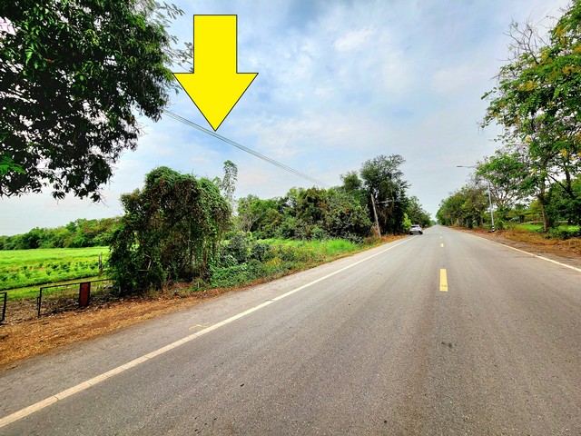 ขายที่ดินติดถนนเรียบคลอง 11 หนองเสือ 49ไร่  เหมาะทำจัดสรรที่ดินแบ่งขายได้ ทำโครงการบ้านสวน ทำการเกษตร ทำฟาร์มหรือ ซื้อเก็บไว้ได้