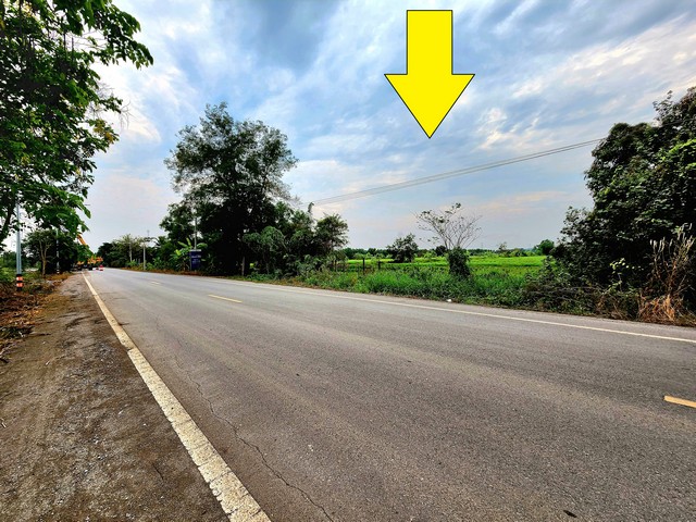 ขายที่ดินติดถนนเรียบคลอง 11 หนองเสือ 49ไร่  เหมาะทำจัดสรรที่ดินแบ่งขายได้ ทำโครงการบ้านสวน ทำการเกษตร ทำฟาร์มหรือ ซื้อเก็บไว้ได้