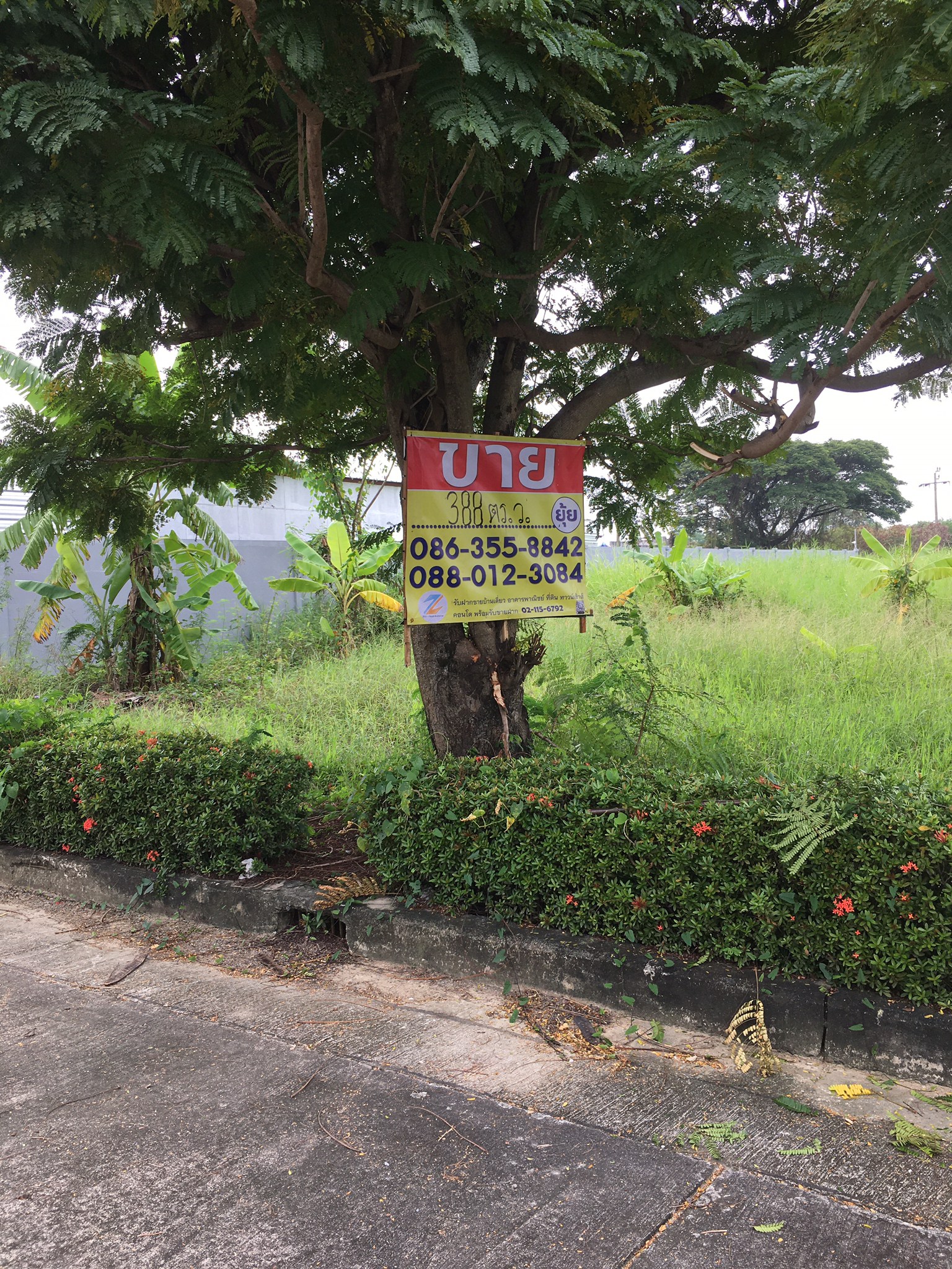 ขายที่ดิน หมู่บ้านกรีนแลค 388 ตารางวา หันหน้าทางทิศเหนือ บางนาตราค กม.13      ZT130