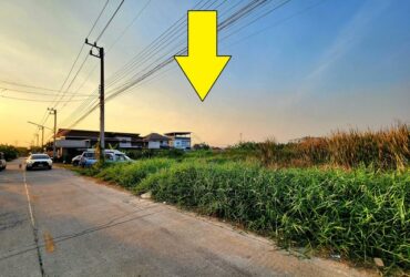 ขายที่ดิน คลอง4 (สุสวาท) ธัญบุรี-ลำลูกกา 100 ตรว   เหมาะทำโกดัง ปลูกบ้าน  หรือซื้อไว้เก็งกำไรในอนาคตได้ค่ะ