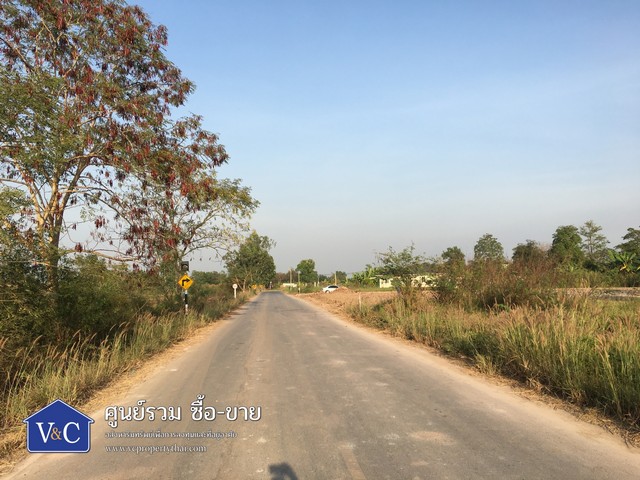 ขายด่วน ที่ดินเปล่าคลอง 15 พื้นที่ 355 ตร.ว. ต.บึงศาล อ.องครักษ์ จ.นครนายก