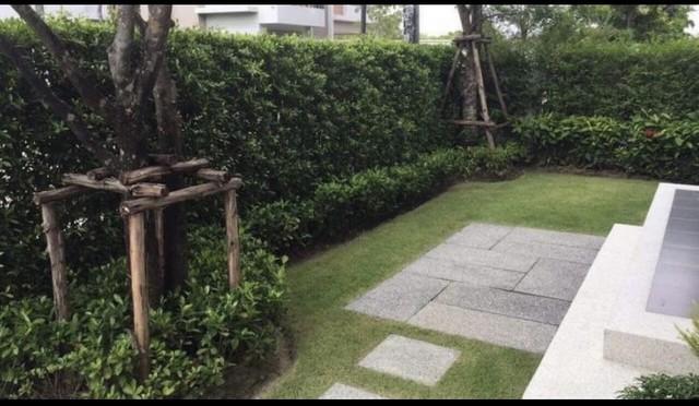 ขายบ้านเดี่ยว2ชั้น52.3 ตร.ว.หมู่บ้านไลฟ์บางกอก บูเลอวาท ราชพฤกษ์-รัตนาธิเบศร์ ติดถนนราชพฤกษ์