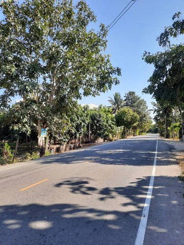 H0015 ขายด่วนที่ดินราคาถูกเกือบ 4 ไร่ ริมถนนดำ ใกล้โรงเรียนวัดสันเหมือง ใกล้ตลาดนัดบ้านเวียง ลำพูน