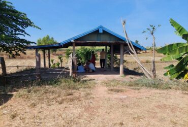 ขายที่ดินเกษตรสำหรับเป็นบ้านสวนปลูกผลไม้ หรือสินค้าเกษตร อ.กุมภวาปี จ.อุดรธานี
