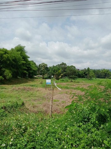 ขายที่ดิน 1 ไร่  ทำเลอยู่บ้านโนน หมู่ที่ 5 ต.ทุ่งสมอ อ. เขาค้อ จ.เพชรบูรณ์