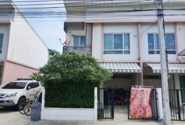 ขายทาวน์เฮ้าส์  หมู่บ้านพลีโน่ รัตนาธิเบศร์-ชัยพฤกษ์  นนทบุรี (PTT00288)