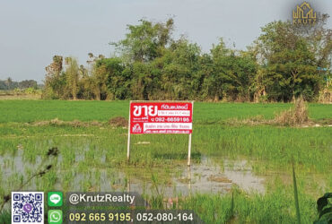 ขายที่ดินติดถนนเนื้อที่  1 ไร่ 1 งาน 11.7 ตร.ว. ต.ป่าลาน อ.ดอยสะเก็ด จ.เชียงใหม่