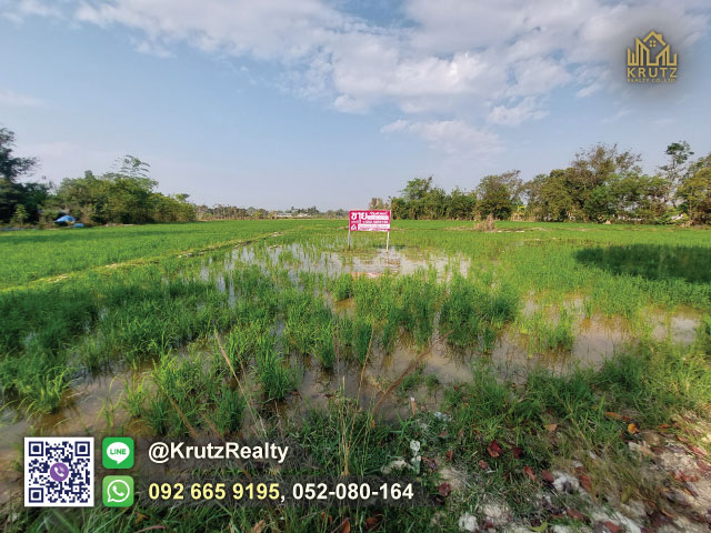 ขายที่ดินติดถนนเนื้อที่  1 ไร่ 1 งาน 11.7 ตร.ว. ต.ป่าลาน อ.ดอยสะเก็ด จ.เชียงใหม่