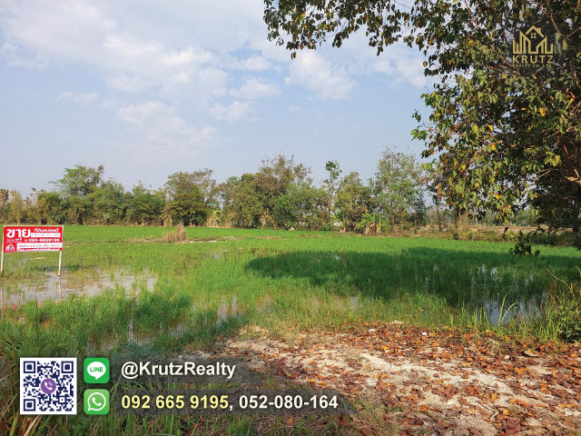 ขายที่ดินติดถนนเนื้อที่  1 ไร่ 1 งาน 11.7 ตร.ว. ต.ป่าลาน อ.ดอยสะเก็ด จ.เชียงใหม่