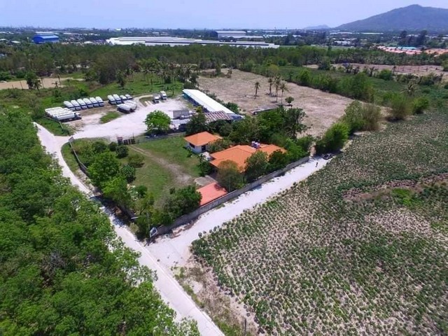 ขายที่ดิน ตำบลห้วยโป่ง อำเภอเมือง จังหวัดระยอง ขนาด 10 ไร่ 2 งาน