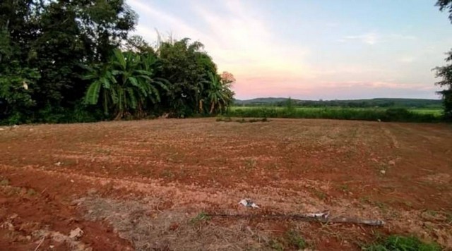 ขายที่ดิน1ไร่ ตำบลจันจว้า อำเภอแม่จัน จังหวัดเชียงราย