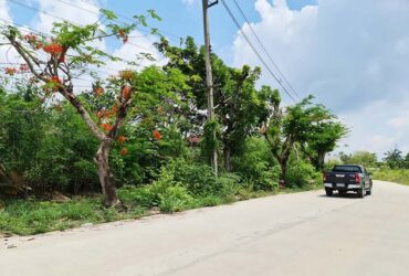 ขายที่ดินเปล่า 200 ตร.ว.  หมู่บ้านฉลองกรุงริเวอร์วิล รีสอร์ท ถนนฉลองกรุง PTT11943